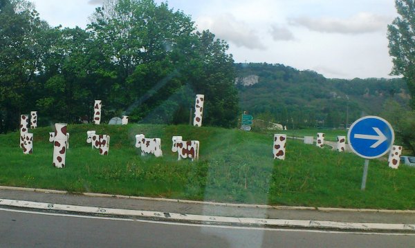 DSC_0175.JPG DSC_0175.JPG