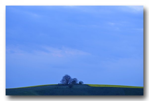 _IJO1671 kopiera.jpg