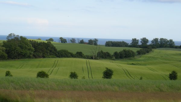 DSCN4109.JPG