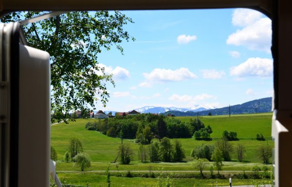 DSC_2418 (Large).JPG DSC_2418 (Large).JPG