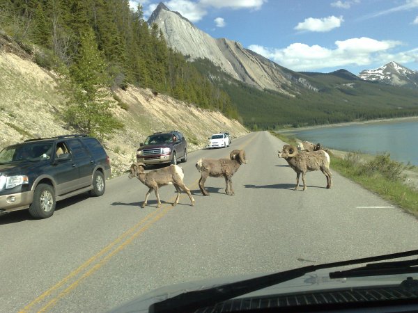 22062011384.jpg 22062011384.jpg