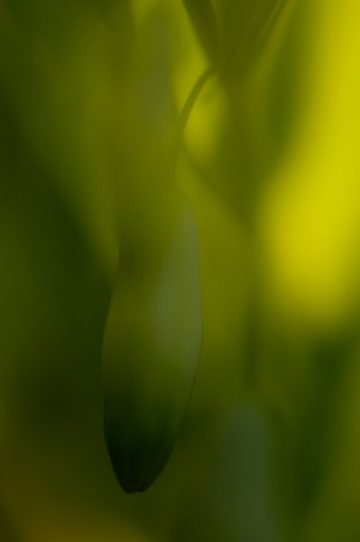 120524.115.jpg