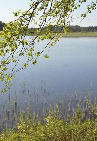 _DSC0075ae.jpg _DSC0075ae.jpg