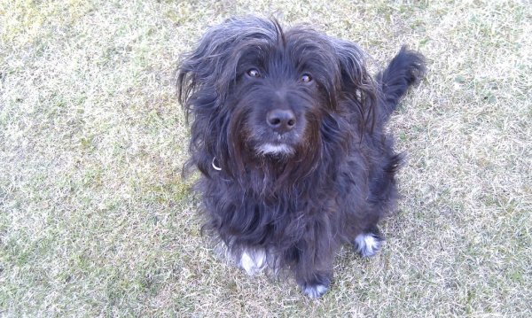 IMAG1226.jpg IMAG1226.jpg