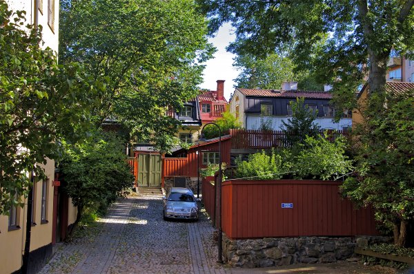 DSC_9699.jpg DSC_9699.jpg