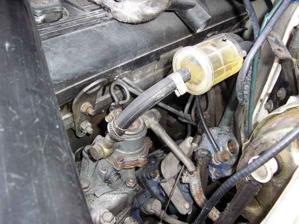 P6030149.JPG P6030149.JPG