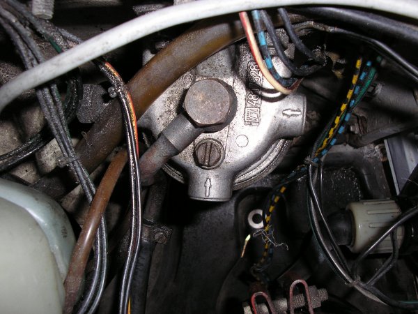 P6060153.JPG P6060153.JPG