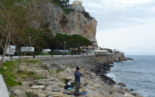 P1000425 (Large).JPG