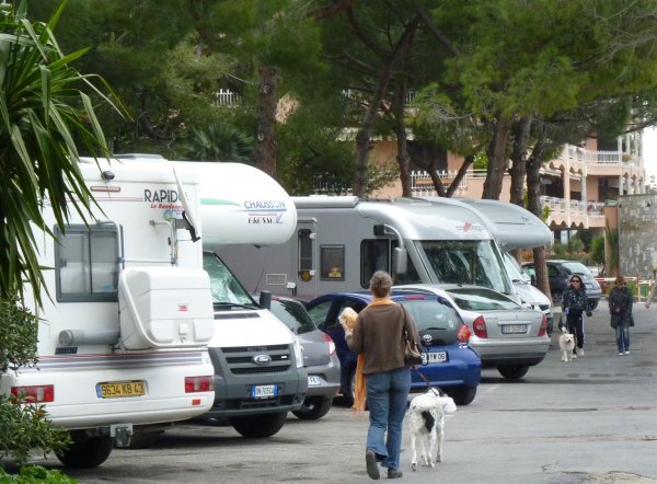 P1000432 (Large).JPG P1000432 (Large).JPG