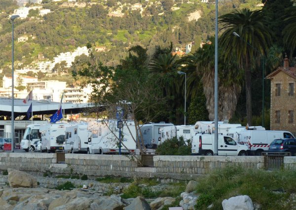 P1010573 (Large).JPG P1010573 (Large).JPG