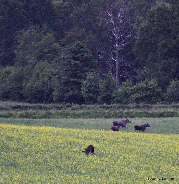 1-mmmmmmmmmmmmmmmmmmmmmmmmmmmmmmm 039.JPG