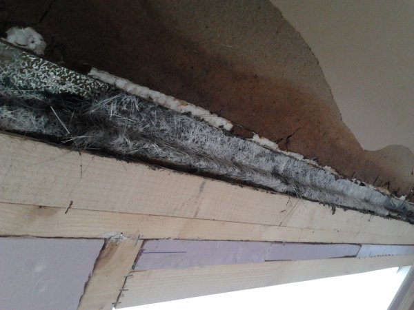 2012-06-27 20.33.43.jpg