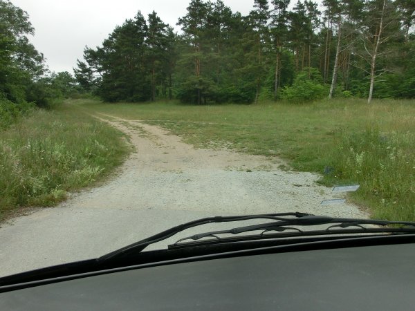 04 oskar.jpg 04 oskar.jpg