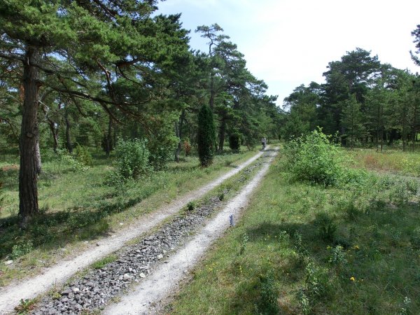 c01 väg.jpg c01 väg.jpg