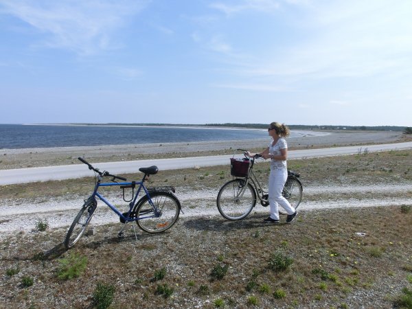 c02 kust.jpg c02 kust.jpg