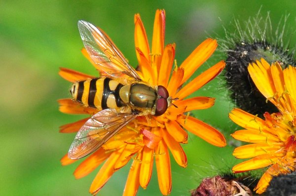 DSC_6632b800.jpg DSC_6632b800.jpg