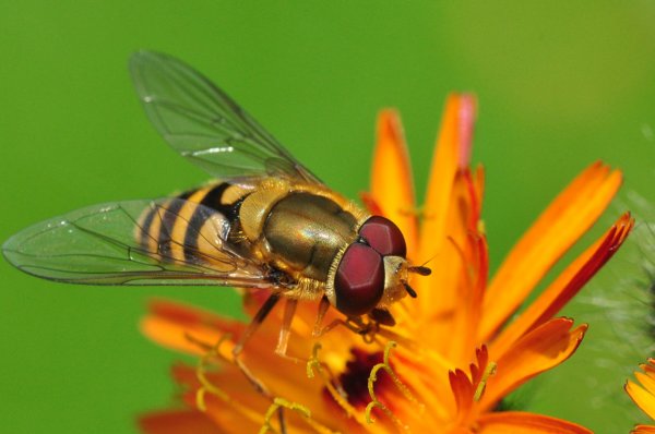 DSC_6641b800.jpg DSC_6641b800.jpg