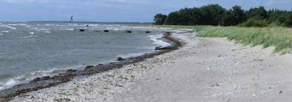 e12 kvarnåker.jpg