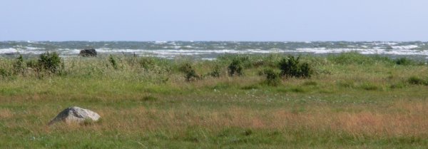 e13 vågbrus.jpg