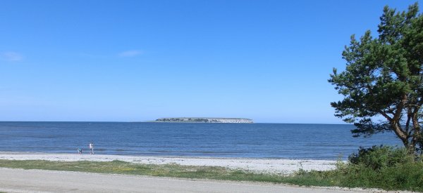 e17 morron.jpg