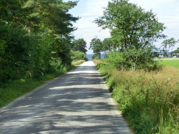 vk02.jpg