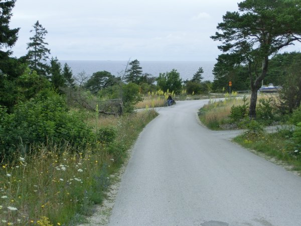 d09 ygne.jpg