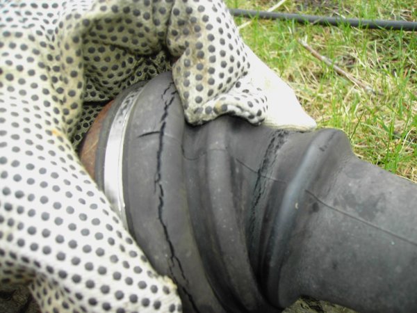 PICT0152.JPG PICT0152.JPG