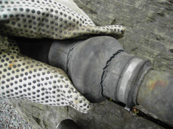 PICT0153.JPG PICT0153.JPG