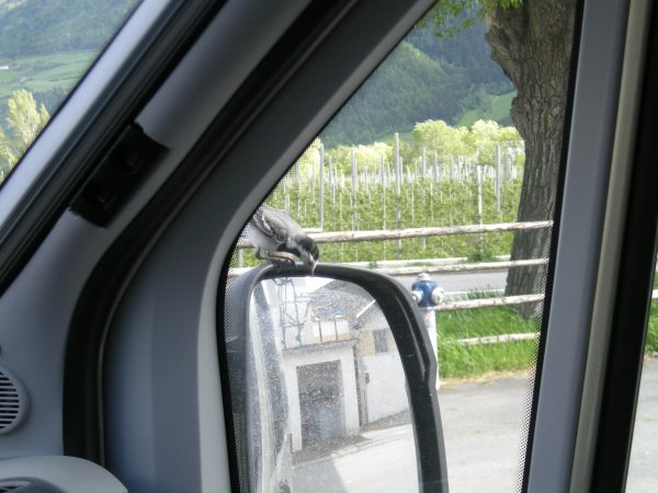 DSCN3185.JPG DSCN3185.JPG