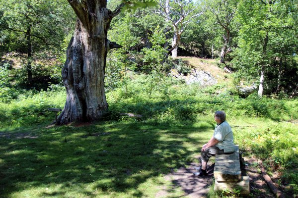 Sundsby 1, GB vid skiljeeken.jpg