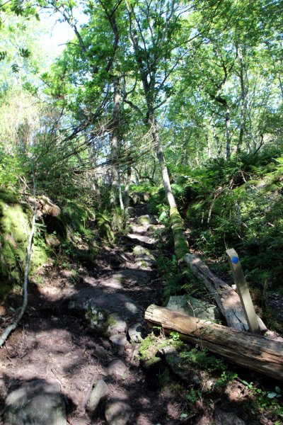 Sundsby 6  St o st.jpg