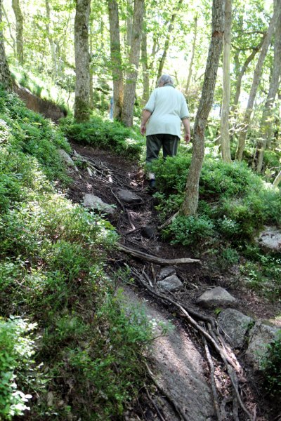 Sundsby 5  GB villr.jpg