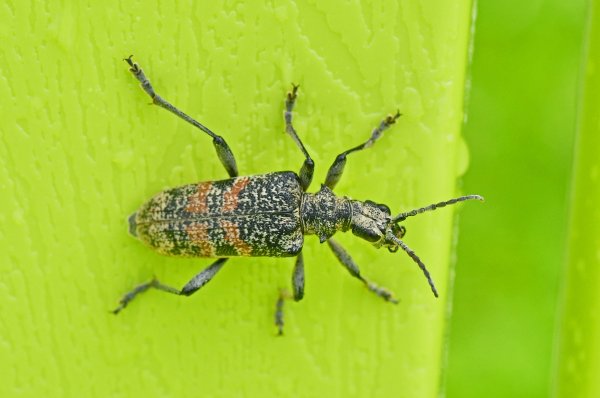 DSC_6917b2000.jpg DSC_6917b2000.jpg