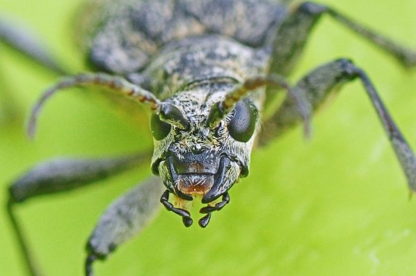 DSC_6919bb1000.jpg DSC_6919bb1000.jpg