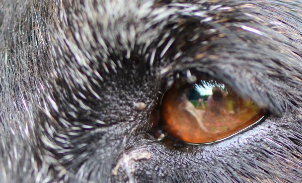 freddie6.JPG freddie6.JPG