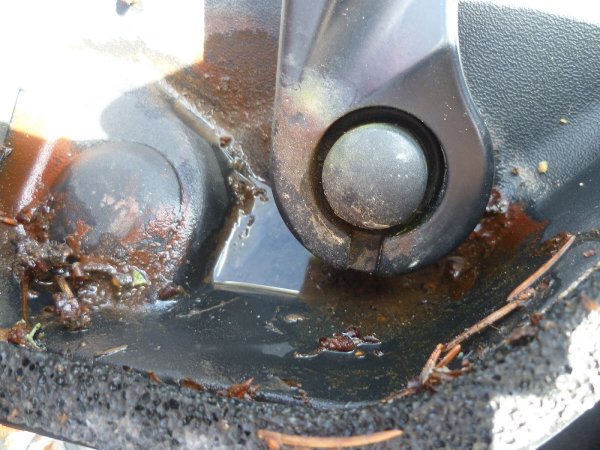 P1010398(1).JPG P1010398(1).JPG