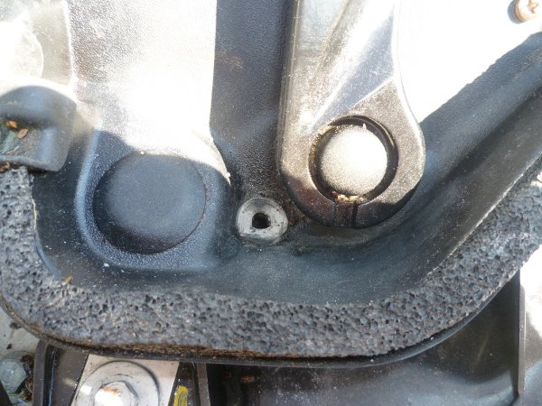 P1010401(1).JPG P1010401(1).JPG