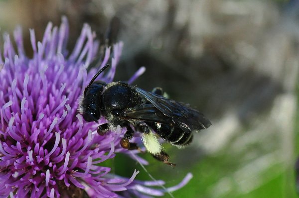 DSC_7822b1200.jpg DSC_7822b1200.jpg