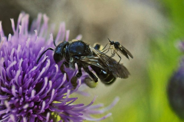 DSC_7824b1200.jpg DSC_7824b1200.jpg