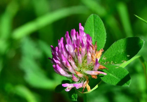 DSC_3744.JPG DSC_3744.JPG