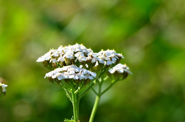 DSC_3759.JPG DSC_3759.JPG