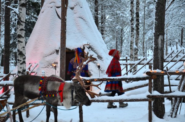 Ren o lappar 2 2011-12-20 11-50-09 (Large).JPG