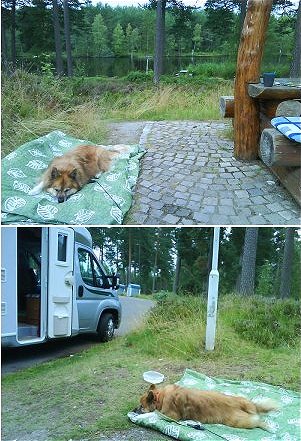 Bassi Eksjö mix.jpg