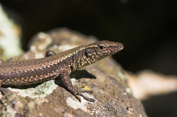 IMG_2081-01 (Large).jpg