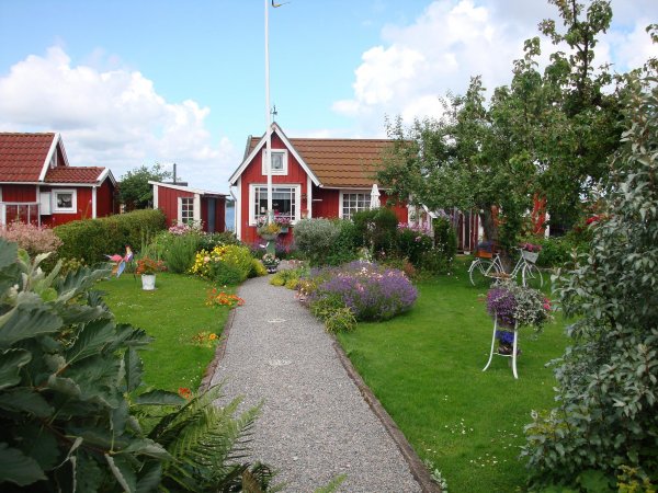 Gott om blommor.JPG