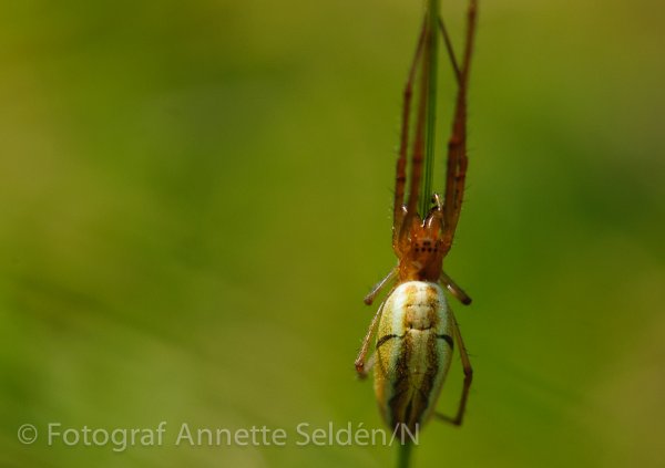 20110612.006-4.jpg 20110612.006-4.jpg