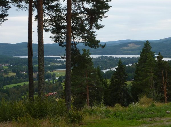Öjeberget Järvsö.JPG