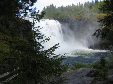 IMG_2011.JPG