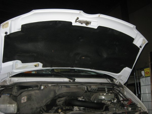 IMG_1353.JPG IMG_1353.JPG