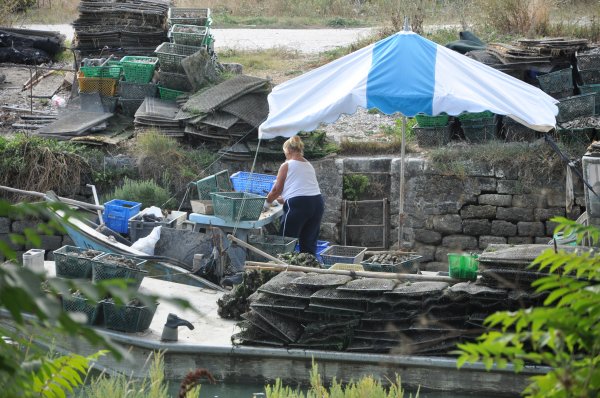 Semester 2012 045.jpg